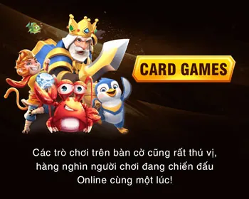 Đa Dạng Loại Hình